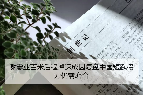 谢震业百米后程掉速成因复盘中国短跑接力仍需磨合